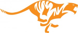 Approbo Tiger Logo